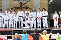 ukazky 2012__15.JPG